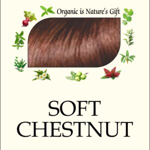 ORGANIC HERBAL HAIR COLOR - SOFT CHESTNUT