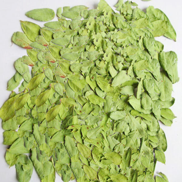 Organic Cassia Leaves